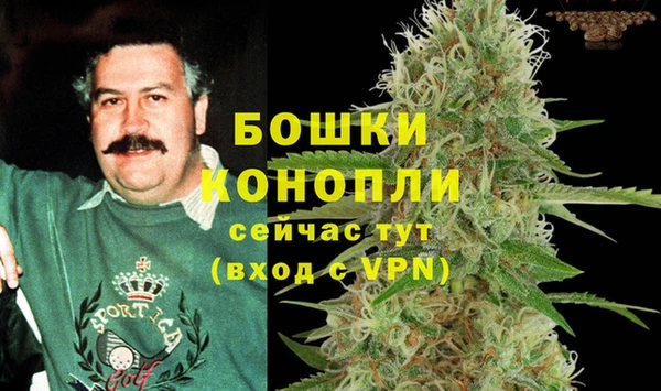 винт Осинники