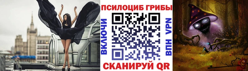 мега ссылки  Юрьев-Польский  Галлюциногенные грибы MAGIC MUSHROOMS 